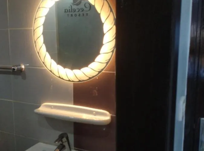 سيسيليا اتش *