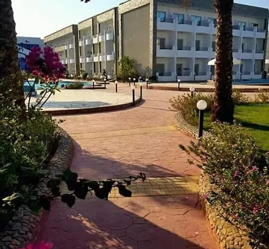 سيسيليا اتش *