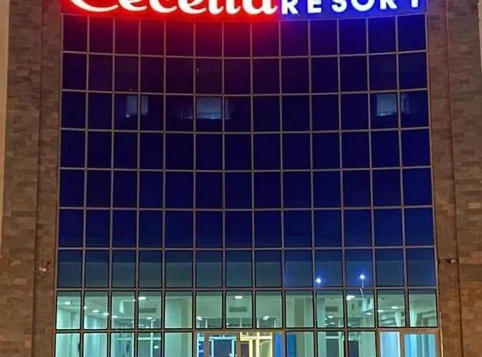 سيسيليا اتش