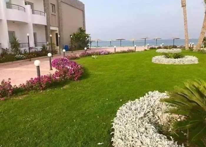 سيسيليا اتش Hurghada